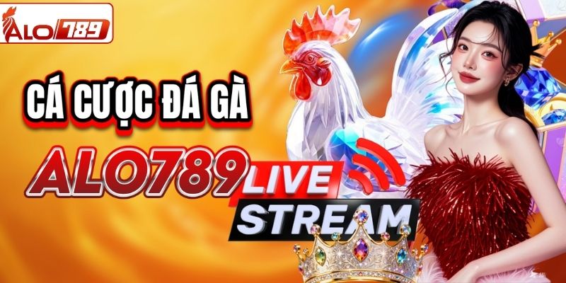 Đá gà - Thu hút hơn 10.000 lượt truy cập mỗi ngày