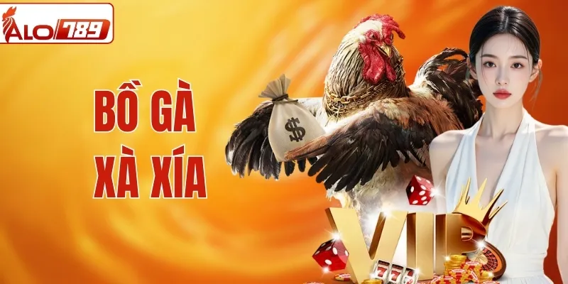 Bồ Gà Xà Xía | Trường Đá Gà Được Dân Chơi Mê Nhất Việt Nam