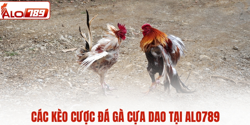 Các kèo cược đá gà cựa dao tại ALO789