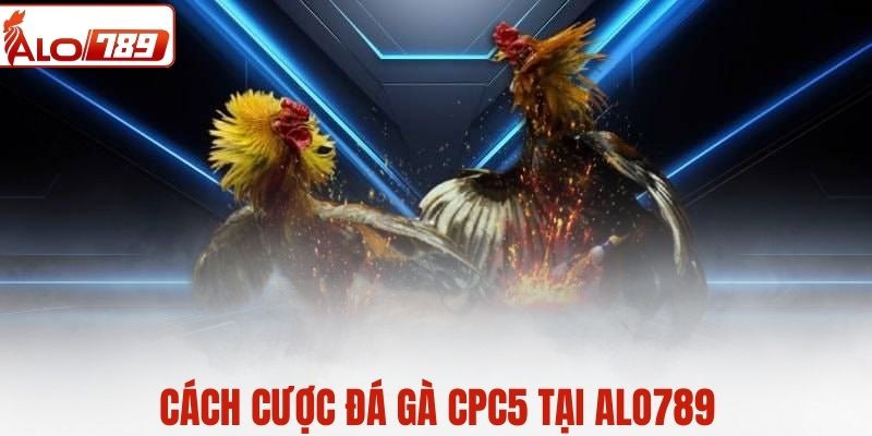 Cách tham gia cược đá gà CPC5 từ A - Z