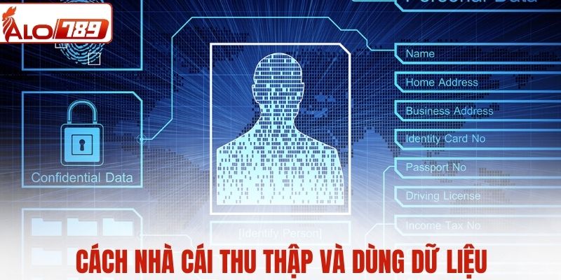 Cách thu thập và dùng dữ liệu của ALO789