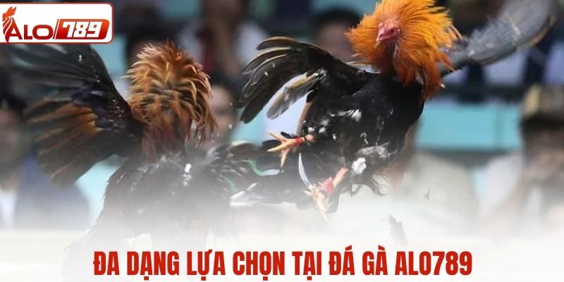 Đa dạng lựa chọn tại đá gà ALO789
