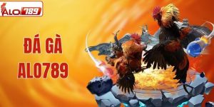 Đá Gà ALO789 - Sân Chơi Đầy Kịch Tính Cùng Các Siêu Chiến Kê
