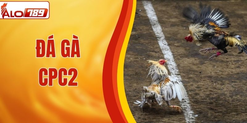 Đá Gà CPC2 - Khuấy Động ALO789 Với Các Trận Đấu Căng Thẳng
