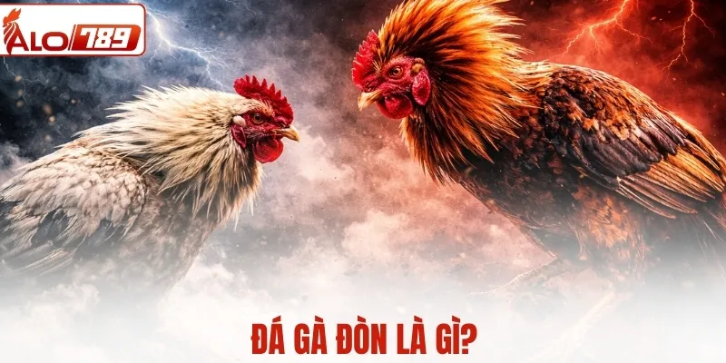 Đá gà đòn là gì? Toàn cảnh lối đá truyền thống của chiến kê Việt