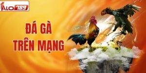 Đá Gà Trên Mạng Tại ALO789 - Cược Nhanh, Thắng Nhanh Tại Nhà 
