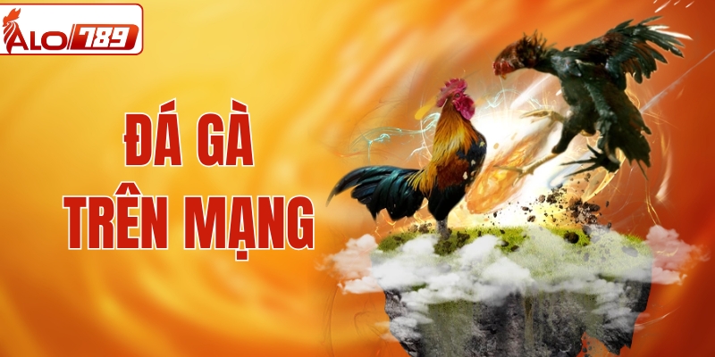 Đá Gà Trên Mạng Tại ALO789 - Cược Nhanh, Thắng Nhanh Tại Nhà