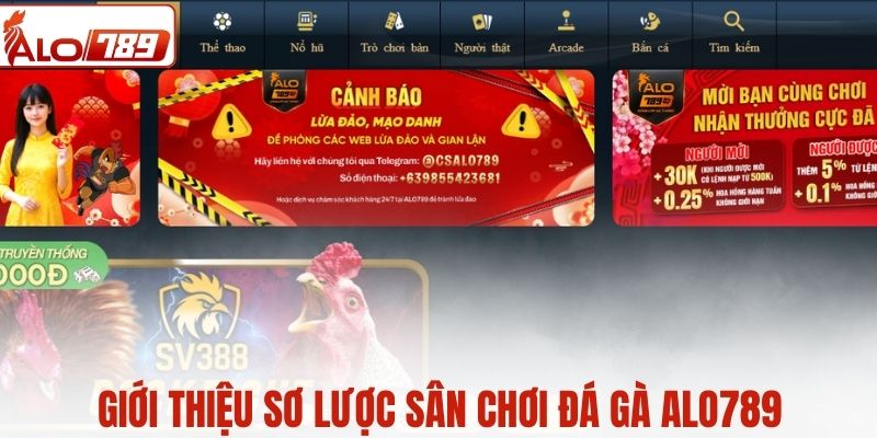 Giới thiệu sơ lược sân chơi đá gà ALO789