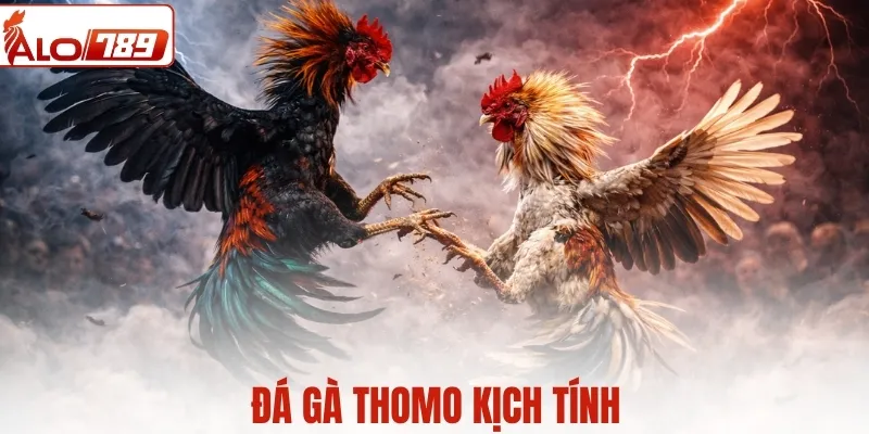 Hình thức đá gà Thomo với từng pha ra đòn kịch tính