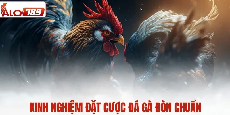 Kinh nghiệm đặt cược đá gà đòn trực tiếp, soi kèo chuẩn
