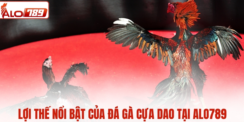 Lợi thế nổi bật của đá gà cựa dao tại ALO789