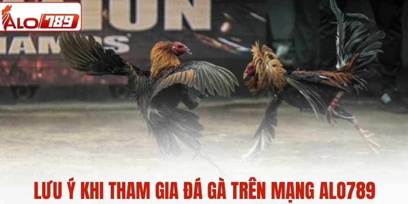 Lưu ý khi tham gia đá gà trên mạng ALO789