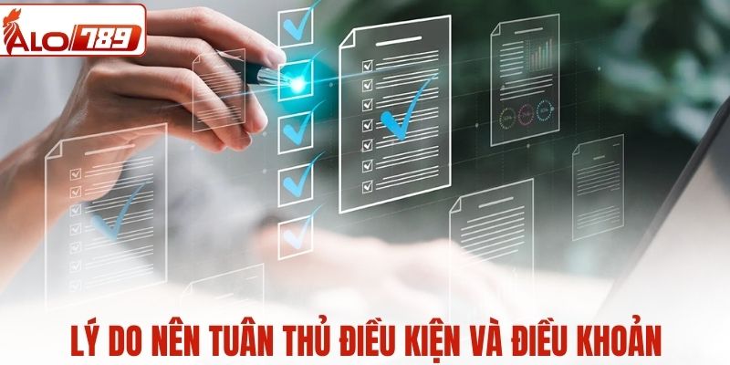 Người chơi nên tuân thủ theo các quy định điều khoản