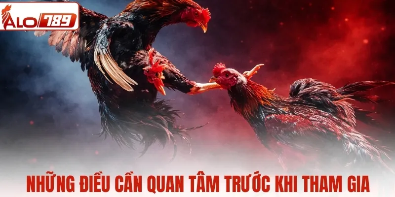Những điều cần để tâm trước khi bạn tham gia