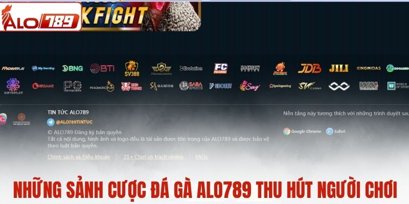 Những sảnh cược đá gà ALO789 thu hút người chơi