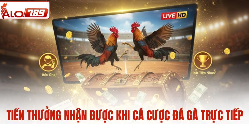Tiền thưởng nhận được khi cá cược đá gà trực tiếp
