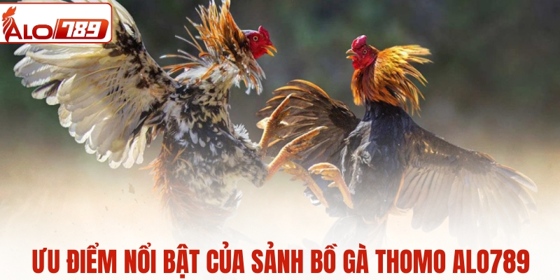 Ưu điểm nổi bật của sảnh bồ gà Thomo ALO789