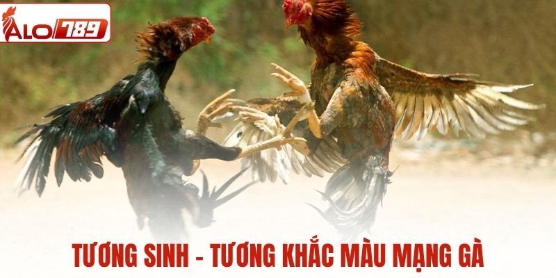 Yếu tố tương sinh tương khắc trong màu mạng gà